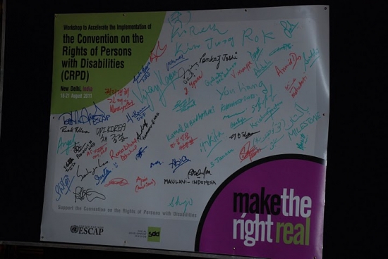 <p>
	A banner with the signatures from the participants during the workshop, part of the UNESCAP&#39;s signature campaign towards &quot;make the right real.&quot;</p>
