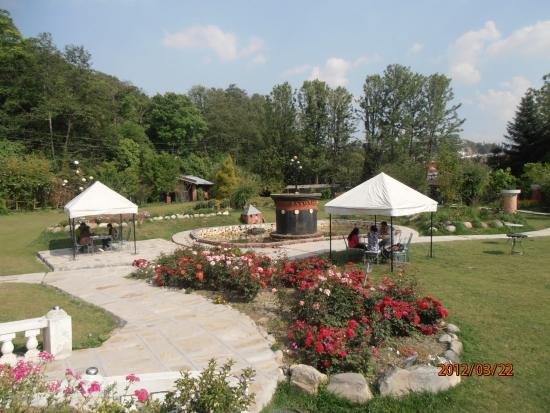 <p>
	Two groups are sitting in the back garden conducting interviews under covered areas. A rose patch and a winding path separates the two groups.</p>
