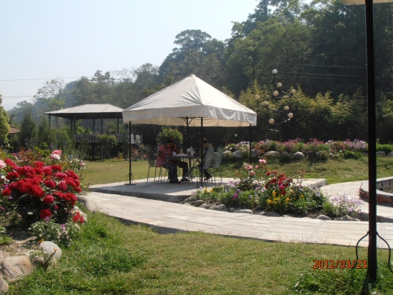 <p>
	Two participants are seen in the foreground working under a canopy. I stone path extends across the photo with the rose bushes in view to the right.</p>
