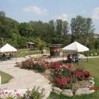 <p>
	Two groups are sitting in the back garden conducting interviews under covered areas. A rose patch and a winding path separates the two groups.</p>
