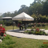 <p>
	Two participants are seen in the foreground working under a canopy. I stone path extends across the photo with the rose bushes in view to the right.</p>
