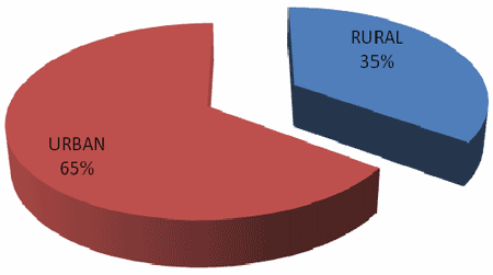 A pie chart showing 65% of people with disabilities living in urban areas and 35% in rural areas.