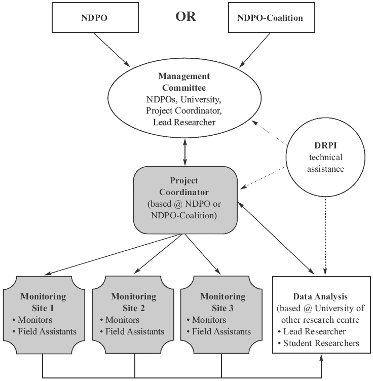 A diagram depicting the relationships and responsibilities among various project partners. The management committee is composed of representatives from N.D.P.O.s and universities and also included a project co-ordinator and lead researcher. The project co-ordinator would be responsible for operationalizing most of the daily functions of the project, but receives direction from the management committee. The co-ordinator facilitates the tasks associated with the various monitoring sites, the monitors and the field assistants. Monitors and field assistants, in turn, are responsible for the collection of data at their respective sites. Monitors, field assitants, the lead researcher and the project co-ordinator collaborate on data-analysis. D.R.P.I. provides technical assistance to the management committee, project co-ordinator and in analysis of data.